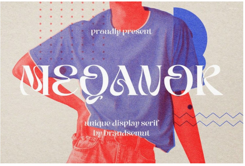 现代优雅酸性逆反差徽标品牌杂志产品海报标题设计PSAI衬线字体 Meqanor , 第1张