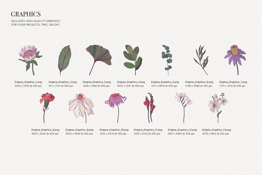 高品质植物花卉图形套装自然图案图形装饰家居纺织品、墙纸、包装、设计时装系列 Enigma. Floral Pattern and Graphics , 第7张