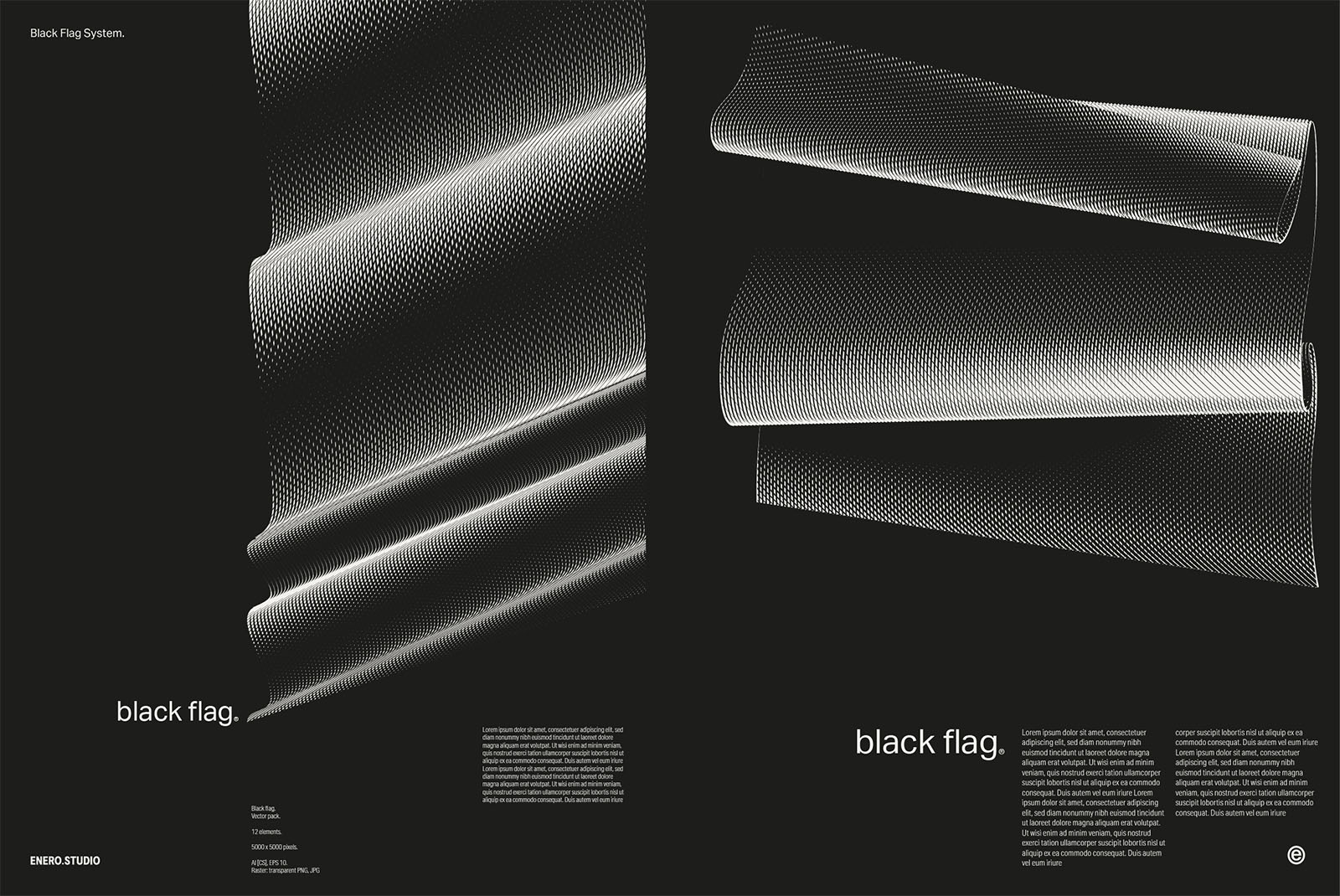 30款3D立体抽象艺术波浪线条网格旗帜AI矢量插画插图图形海报背景设计套装Black Flag Vector Pack , 第3张