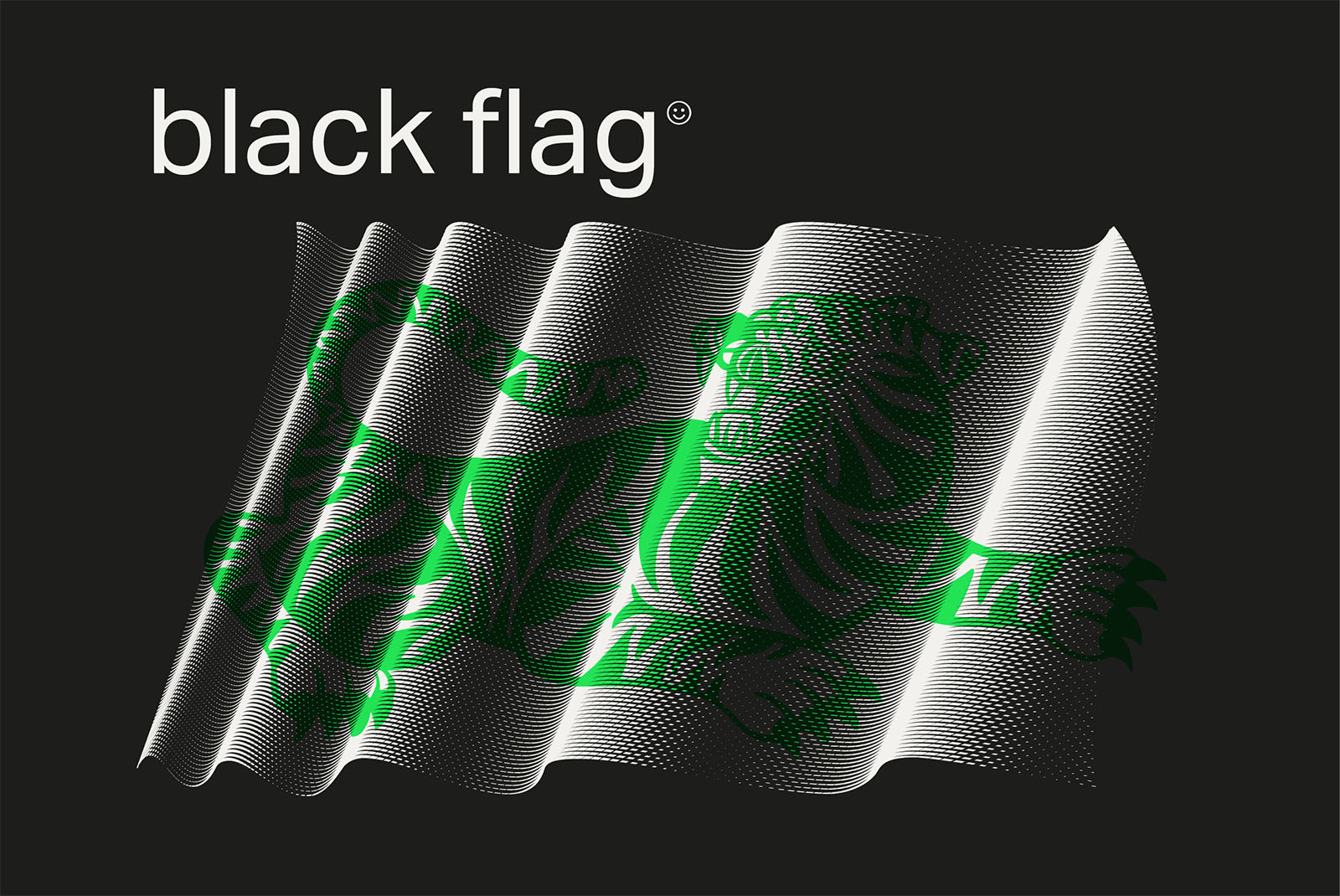 30款3D立体抽象艺术波浪线条网格旗帜AI矢量插画插图图形海报背景设计套装Black Flag Vector Pack , 第22张