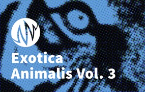 89组老虎狮子眼镜蛇猴子豹猫叫声动物声音无损音效包 Exotica Animalis - Vol. 3