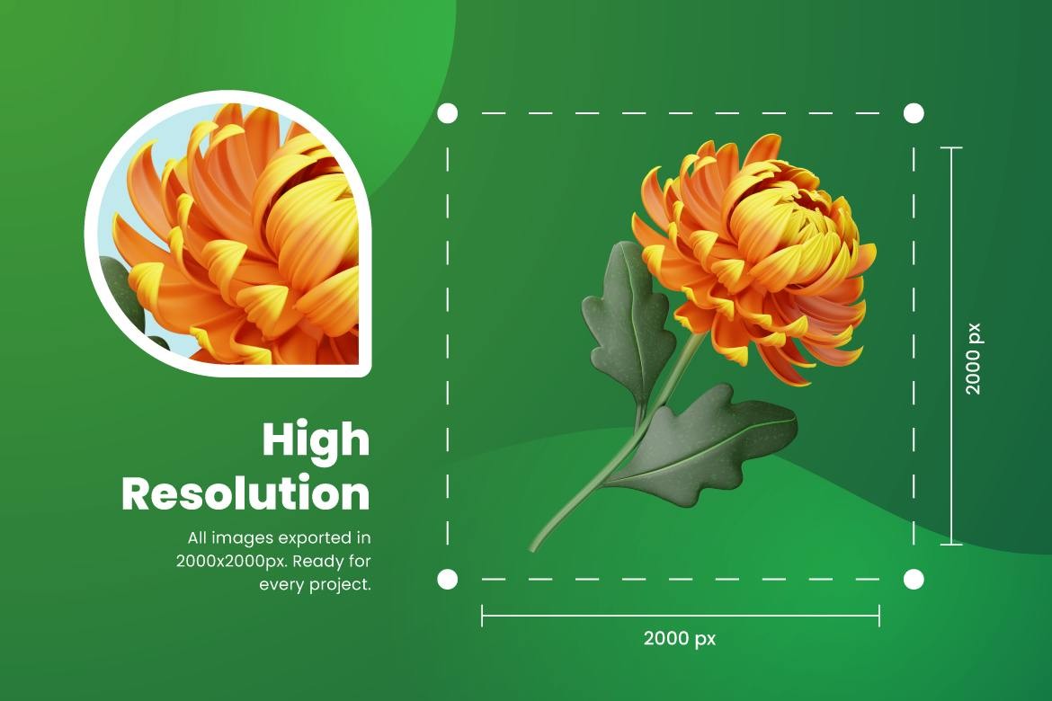 30款高级花卉花朵3D插画插图图标Icons设计BLEND_PNG_FIG_PSD格式素材 图标素材 第4张