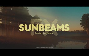 PR预设-光效素材包阳光效果多种方向的光束元素 Sunbeams FX Premiere Pro Presets