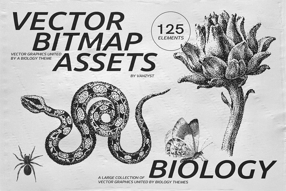125款复古生物学昆虫动物鸟类鱼类人体骨骼植物自然界像素位图AI矢量插画PNG免扣设计套装 125 Vector Bitmap Assets. Biology , 第1张