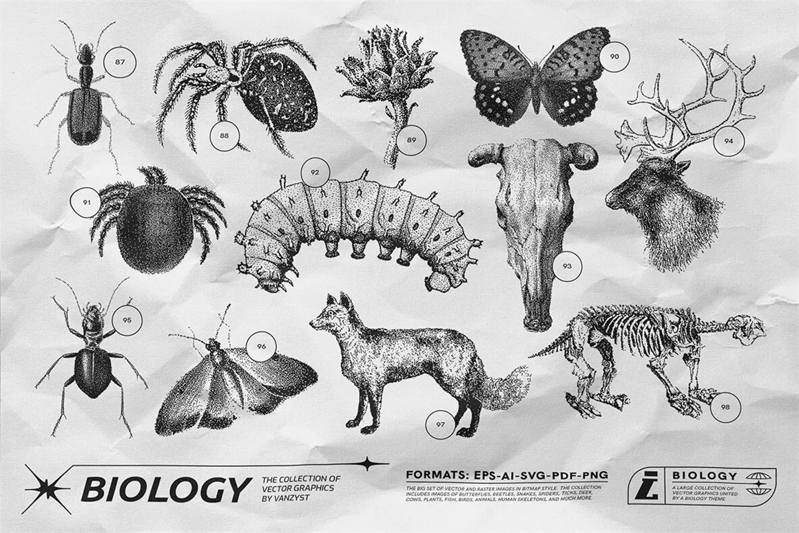 125款复古生物学昆虫动物鸟类鱼类人体骨骼植物自然界像素位图AI矢量插画PNG免扣设计套装 125 Vector Bitmap Assets. Biology , 第13张