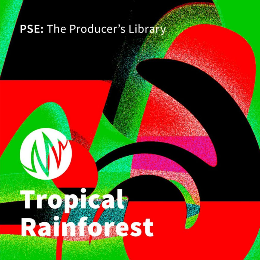 60组热带雨林婆罗洲深处降雨昆虫嗡嗡声动物叫声无损音效包 , 第1张