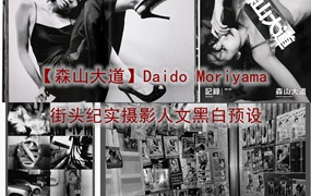 日本日系摄影师【森山大道】Daido Moriyama街头纪实摄影人文黑白LR预设PS调色PR剪映滤镜LUT预设