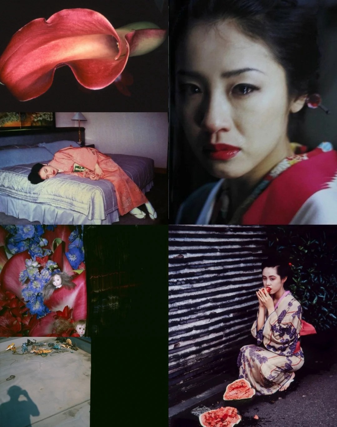 日本日系摄影师【荒木经惟】预设合集Nobuyoshi Araki荒诞怪诞风纪实人文摄影LR预设PS调色PR剪映滤镜LUT预设 插件预设 第3张