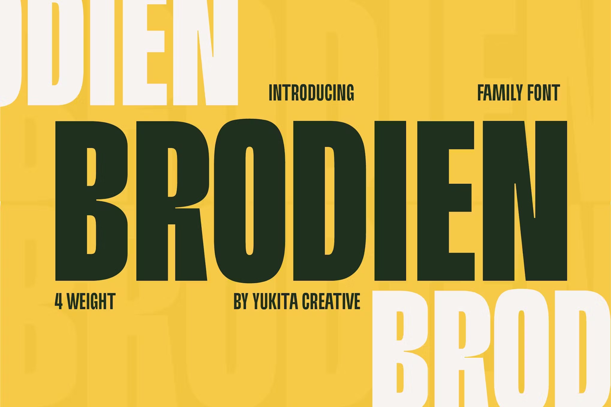 现代未来派广告杂志徽标设计无衬线英文字体安装包 Brodien Condensed Schriftart 设计素材 第1张