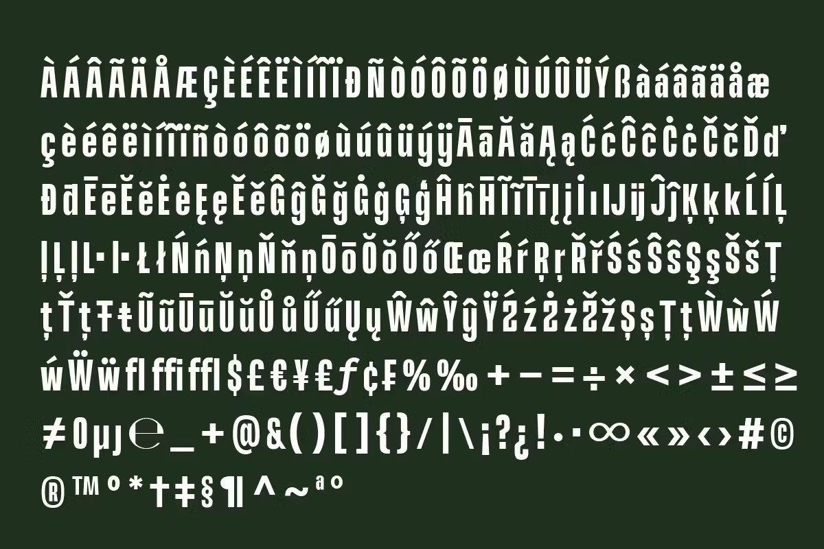 现代未来派广告杂志徽标设计无衬线英文字体安装包 Brodien Condensed Schriftart 设计素材 第5张