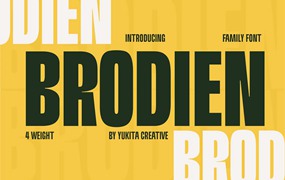 现代未来派广告杂志徽标设计无衬线英文字体安装包 Brodien Condensed Schriftart