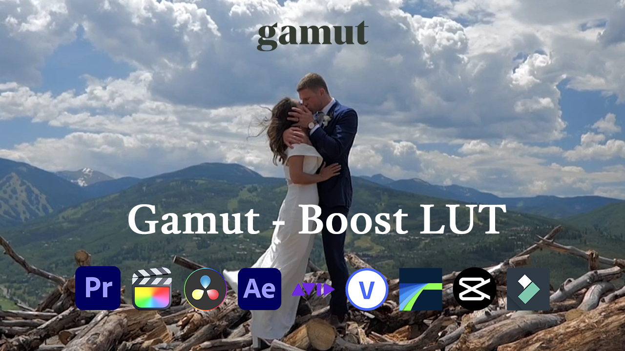 Gamut - Boost 婚礼人像肤色丰富对比度柔和高光穆迪Rec709LUT调色预设 , 第1张