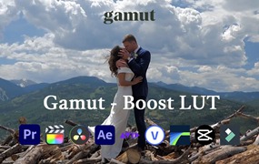 Gamut - Boost 婚礼人像肤色丰富对比度柔和高光穆迪Rec709LUT调色预设