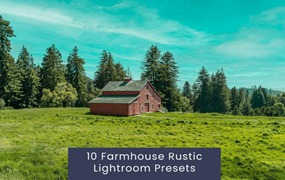 10组农舍乡村复古电影博主摄影照片调色Lightroom预设 10 Farmhouse Rustic Lightroom Presets