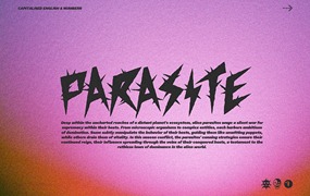 PARASITE 潮流装饰英文字体