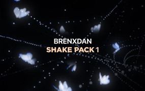 震动摇晃晃动摇动效果动漫剪辑合成AE项目文件预设套装 Brenxdan Shake Pack 1
