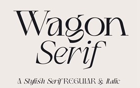全新高质量现代清新优雅品牌女性婚礼杂志排版设计英文衬线字体 Wagon Display