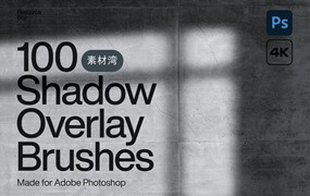 高质量窗户阳光阴影PS叠加层设计素材合集 100 Shadow Overlay Photoshop Brushes