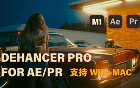 复古电影胶片色彩分级颗粒光晕模拟工具 Dehancer Pro OFX for AE/PR V7.1.1 Win/Mac破解版