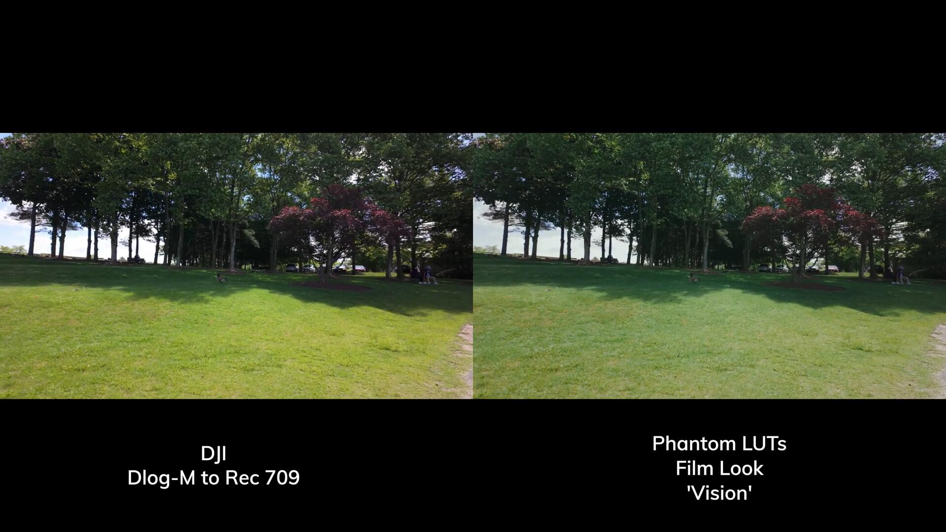 Phantom LUTs for Osmo Pocket 3 大疆Osmo Pocket 3转阿莱色彩LUTs调色预设 插件预设 第8张