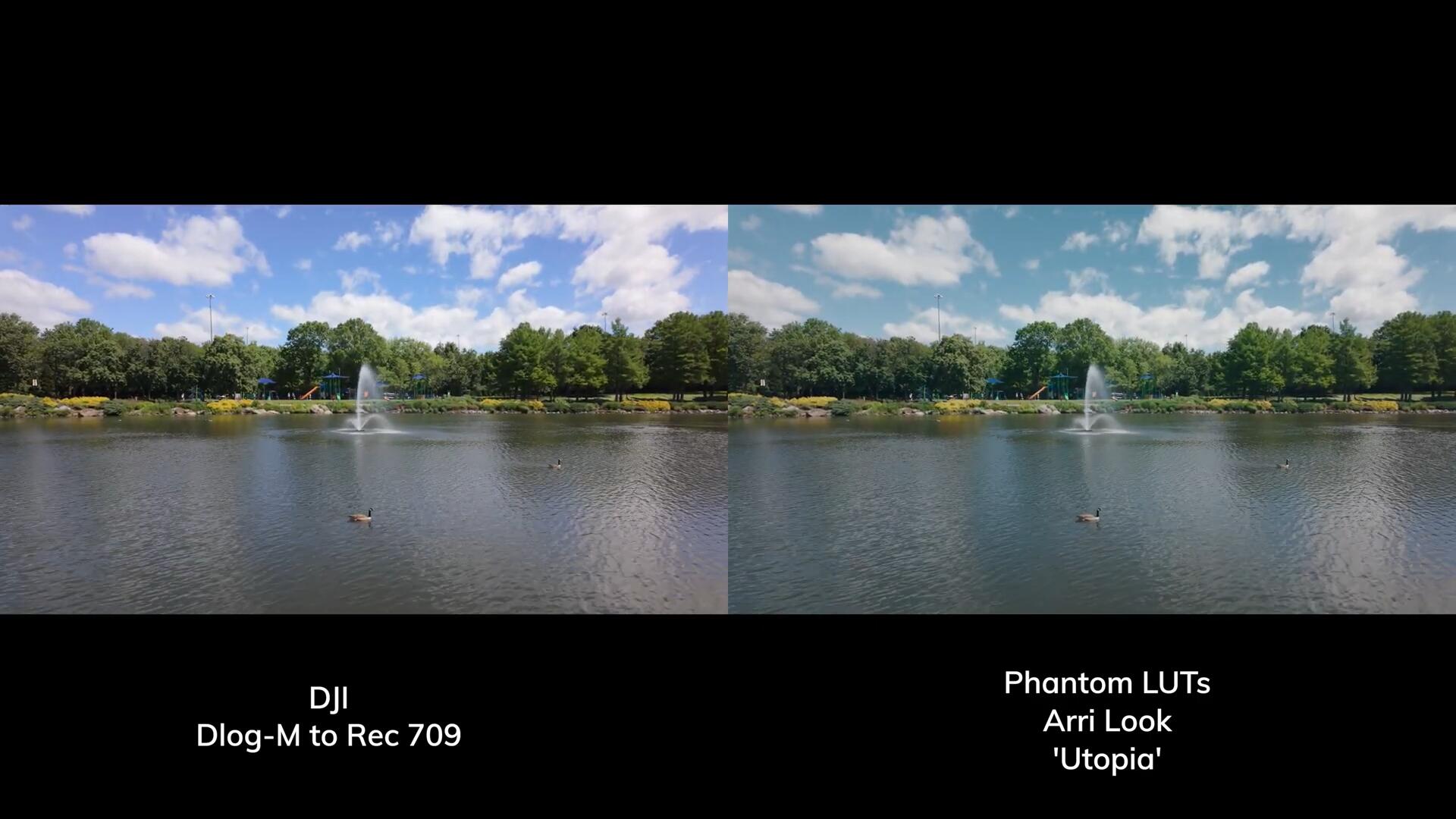 Phantom LUTs for Osmo Pocket 3 大疆Osmo Pocket 3转阿莱色彩LUTs调色预设 插件预设 第11张