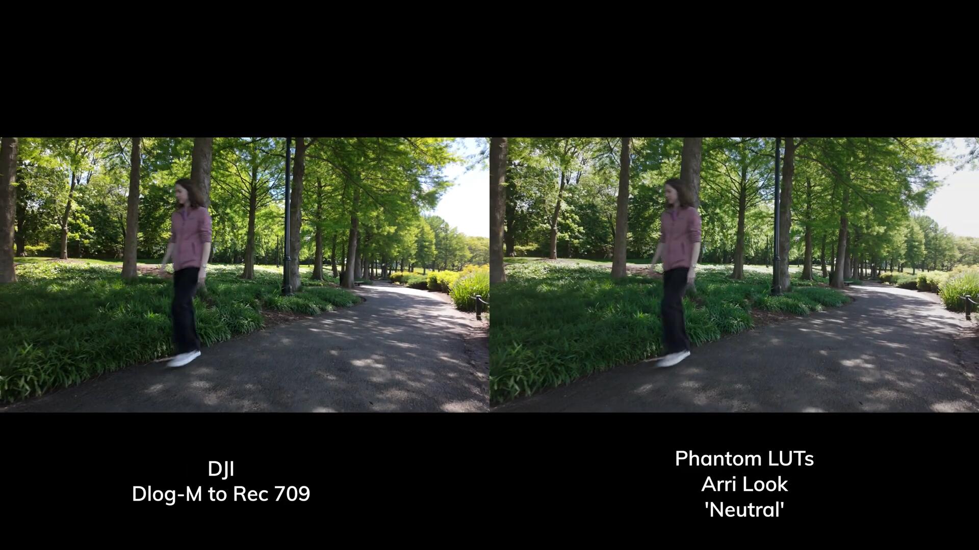 Phantom LUTs for Osmo Pocket 3 大疆Osmo Pocket 3转阿莱色彩LUTs调色预设 插件预设 第15张