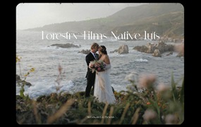 优雅浪漫唯美婚礼旅拍人像摄影色彩分级LUT预设 David Reynosa - Forestry Films Native luts