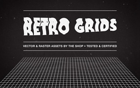 上世纪80年代复古蒸汽波扭曲网格设计装饰元素合集 Retro grids