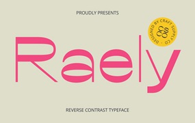 时尚复古品牌海报徽标设计无衬线英文字体安装包 Raely – Reverse Contrast Font
