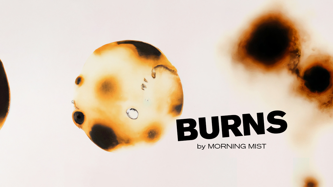 复古做旧艺术烧伤灼伤纸张纹理素材合集 Burns 2.0 by Morning Mist 图片素材 第1张