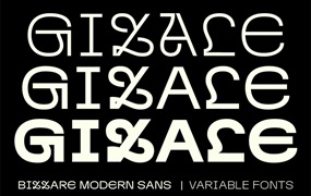 现代创意杂志海报徽标设计无衬线英文字体安装包 Gizale