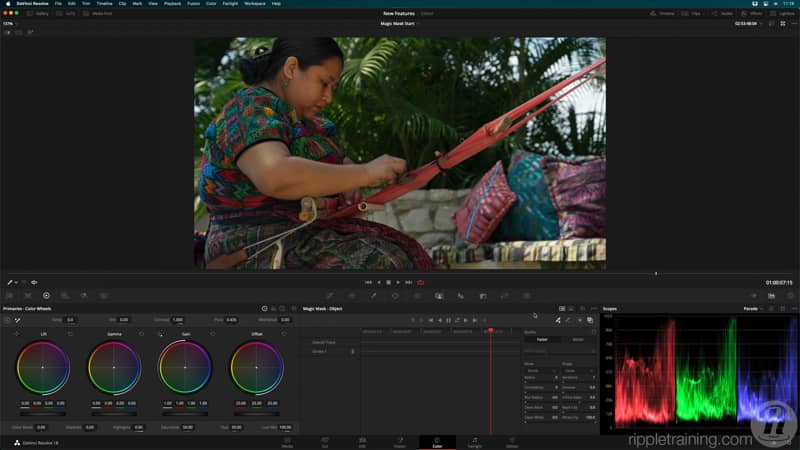 达芬奇17/18零基础入门到精通教程高级调色课程 RippleTraining - Advanced Color Grading in DaVinci Resolve 设计教程 第2张