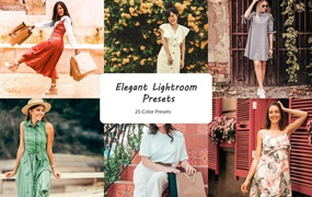 优雅美学城市街头人像摄影照片调色Lightroom预设 Elegant Lightroom Presets