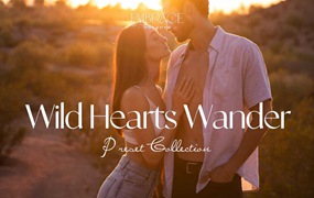 26款情绪化温暖暖色调情侣户外摄影照片调色Lightroom预设 Embrace Presets – Wild Hearts Wander Collection