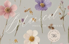 36款现代优雅婚礼请柬贺卡封面设计花卉背景图PNG/JPG格式素材 Pressed Flowers Elements