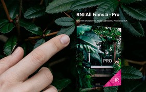 RNI All Films 5 真实富士柯达宝丽来胶片模拟电影美学颗粒风格LR调色预设