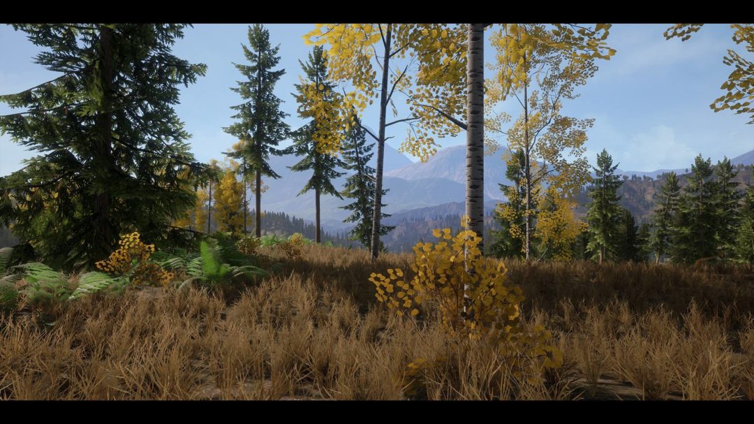 UE素材 虚拟引擎高山森林公路场景3D模型素材 Unreal Engine Realistic Forest Pack 样机素材 第2张