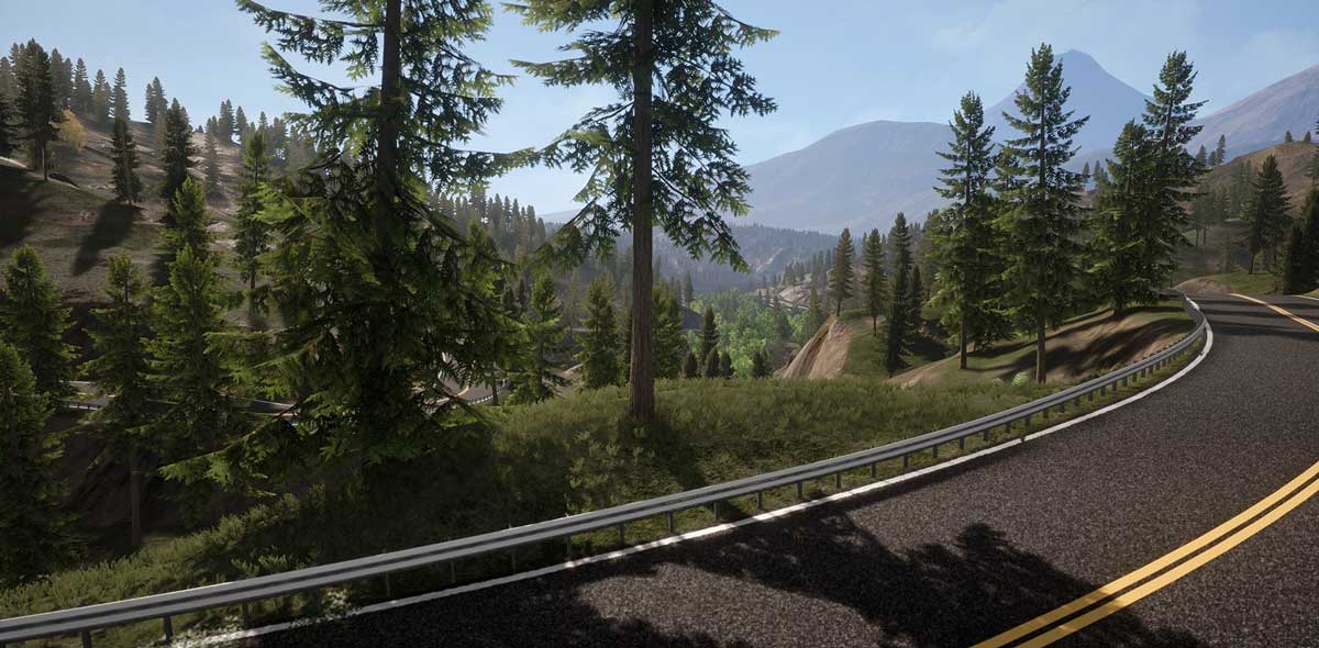 UE素材 虚拟引擎高山森林公路场景3D模型素材 Unreal Engine Realistic Forest Pack 样机素材 第1张