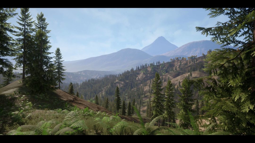 UE素材 虚拟引擎高山森林公路场景3D模型素材 Unreal Engine Realistic Forest Pack 样机素材 第5张