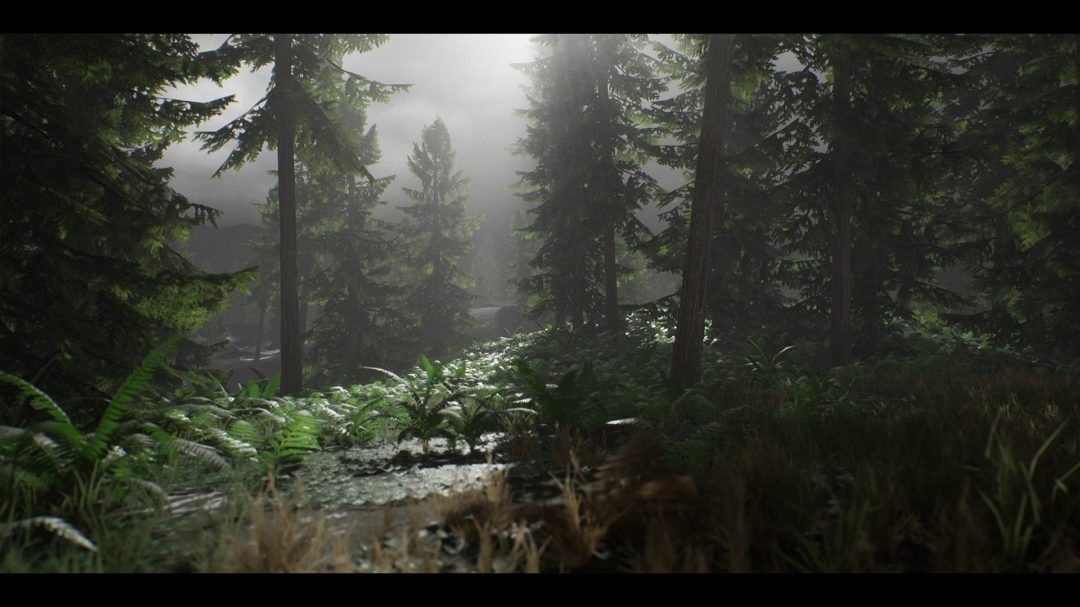 UE素材 虚拟引擎高山森林公路场景3D模型素材 Unreal Engine Realistic Forest Pack 样机素材 第4张