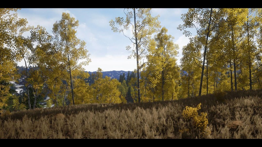 UE素材 虚拟引擎高山森林公路场景3D模型素材 Unreal Engine Realistic Forest Pack 样机素材 第7张