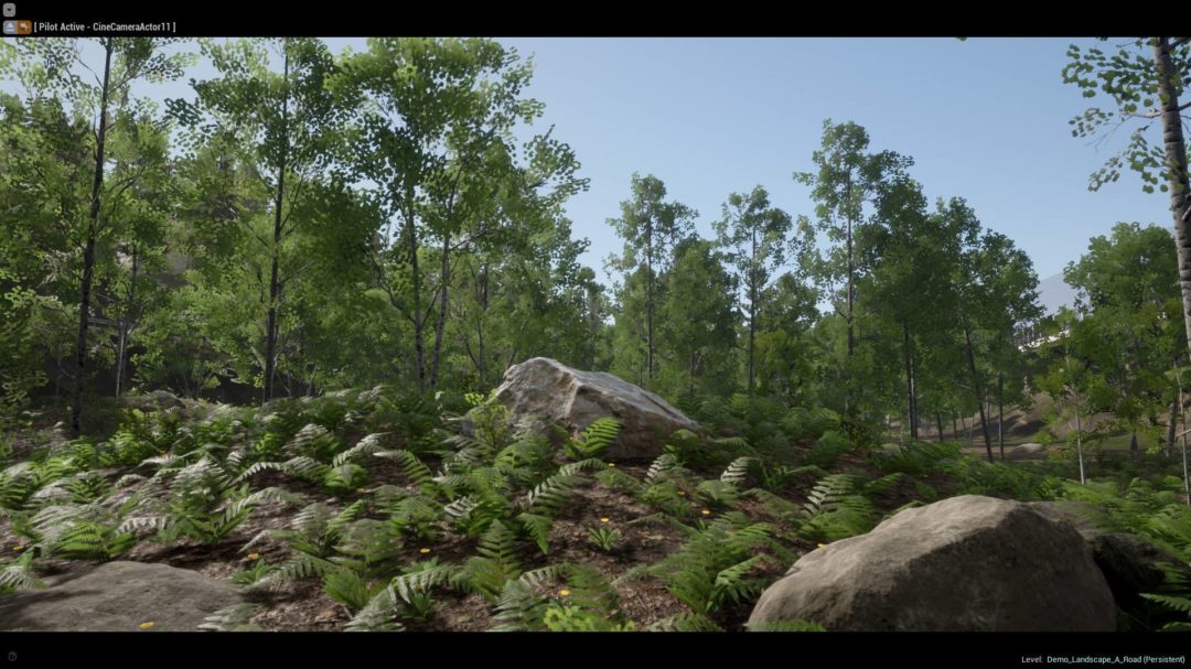 UE素材 虚拟引擎高山森林公路场景3D模型素材 Unreal Engine Realistic Forest Pack 样机素材 第8张