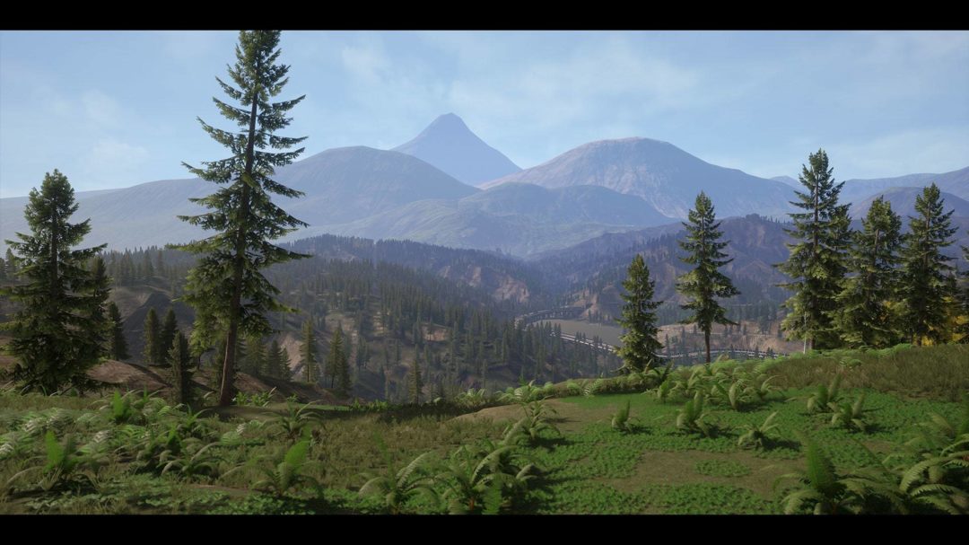 UE素材 虚拟引擎高山森林公路场景3D模型素材 Unreal Engine Realistic Forest Pack 样机素材 第9张