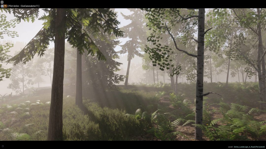 UE素材 虚拟引擎高山森林公路场景3D模型素材 Unreal Engine Realistic Forest Pack 样机素材 第10张