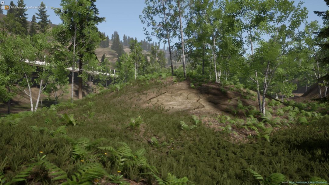 UE素材 虚拟引擎高山森林公路场景3D模型素材 Unreal Engine Realistic Forest Pack 样机素材 第11张