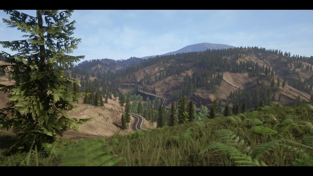 UE素材 虚拟引擎高山森林公路场景3D模型素材 Unreal Engine Realistic Forest Pack 样机素材 第12张