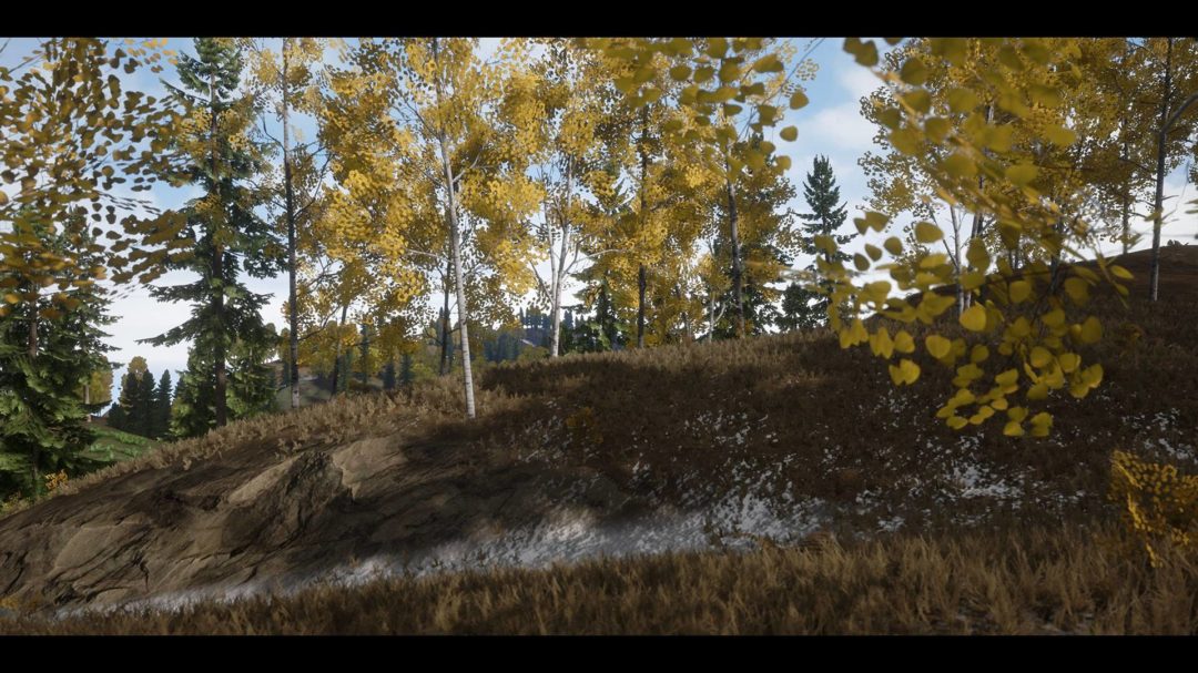 UE素材 虚拟引擎高山森林公路场景3D模型素材 Unreal Engine Realistic Forest Pack 样机素材 第13张