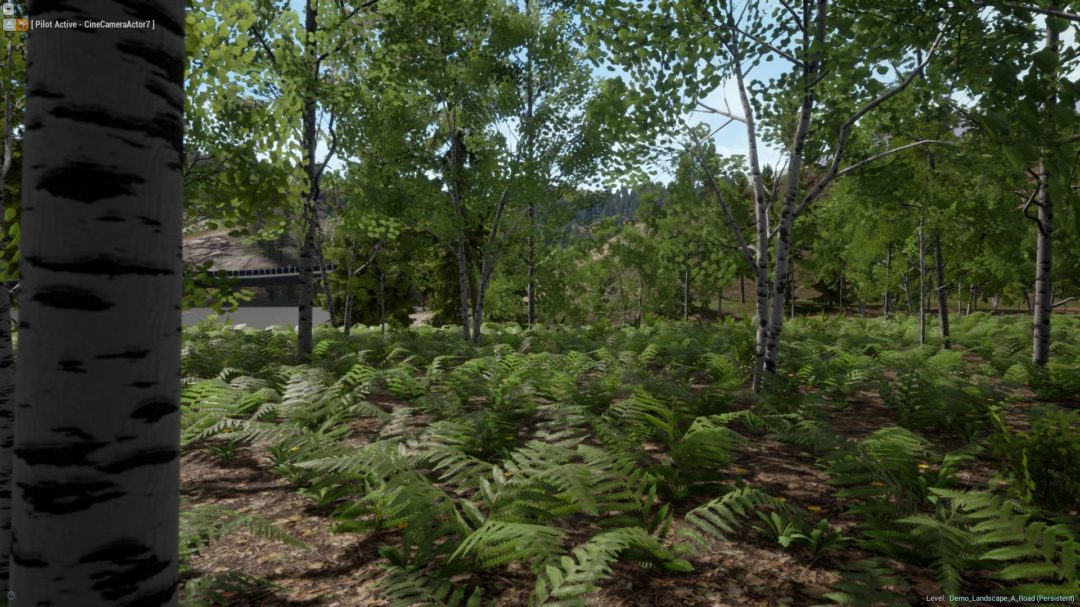 UE素材 虚拟引擎高山森林公路场景3D模型素材 Unreal Engine Realistic Forest Pack 样机素材 第14张