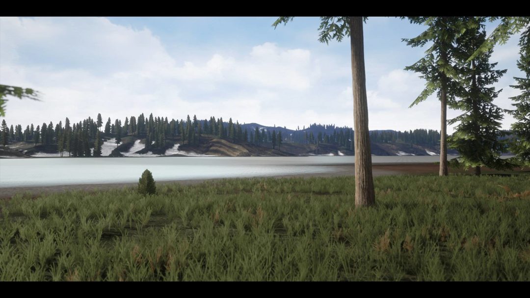 UE素材 虚拟引擎高山森林公路场景3D模型素材 Unreal Engine Realistic Forest Pack 样机素材 第15张