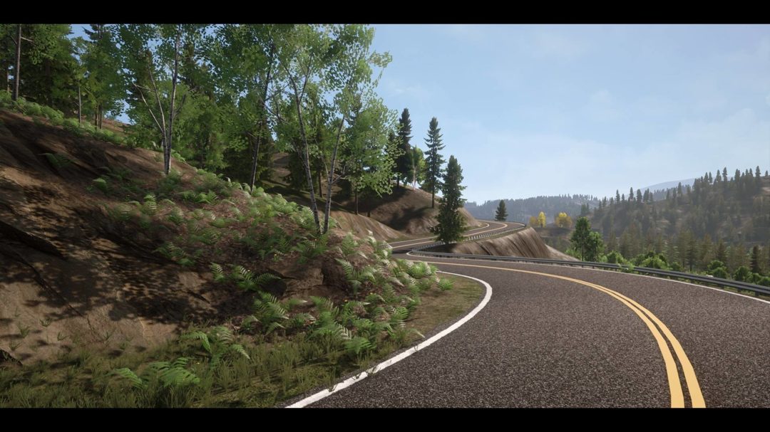 UE素材 虚拟引擎高山森林公路场景3D模型素材 Unreal Engine Realistic Forest Pack 样机素材 第20张